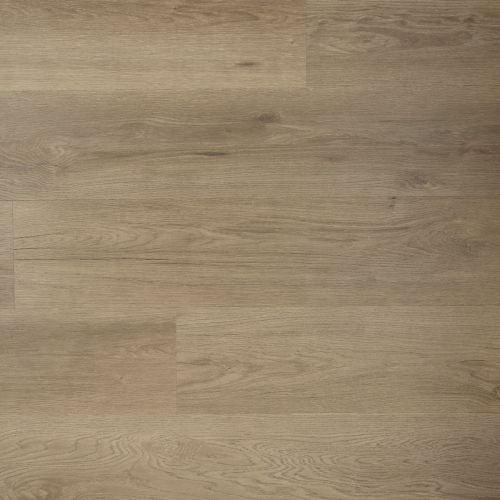 Douwes Dekker Ambitieus Riante Plank Dryback plak PVC Spekkoek