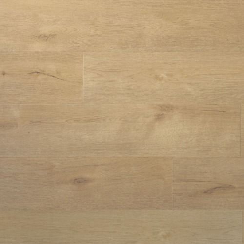 Douwes Dekker Praktisch Plank Dryback plak PVC Sprits